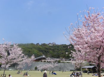春の堀之内
