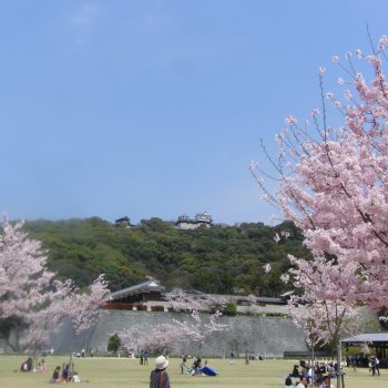 春の堀之内