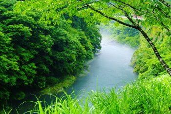 霧の富郷渓谷