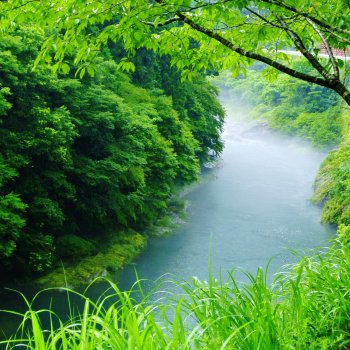 霧の富郷渓谷