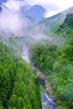 霧の富郷渓谷