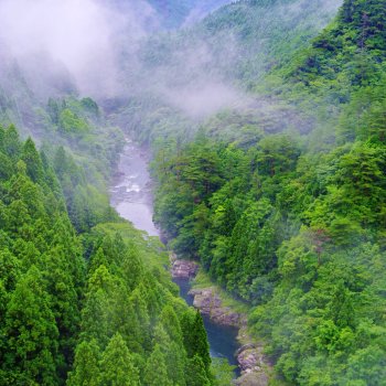 霧の富郷渓谷