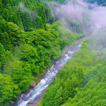 霧の富郷渓谷