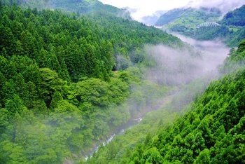 霧の富郷渓谷