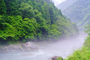 霧の富郷渓谷
