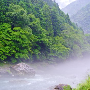 霧の富郷渓谷