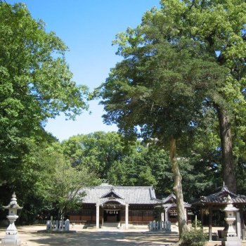 一宮神社のクスノキ群