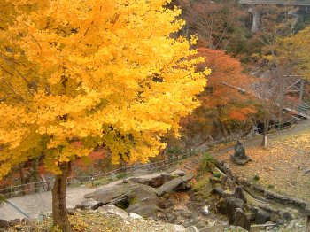 別子山の紅葉（ふるさと館裏）