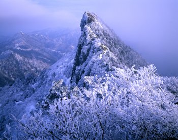 石鎚山1