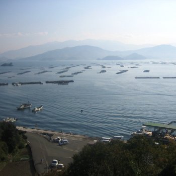 宇和海と養殖いかだ2