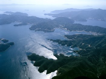 宇和海リヤス式海岸