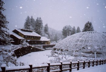 森林公園ゆらぎの森（雪景色）