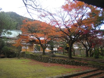 瑞應寺の紅葉