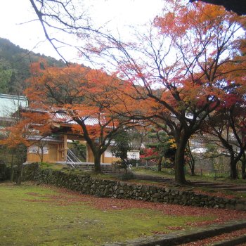 瑞應寺の紅葉