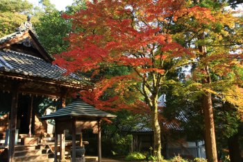 西山興隆寺　紅葉