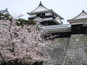 松山城1