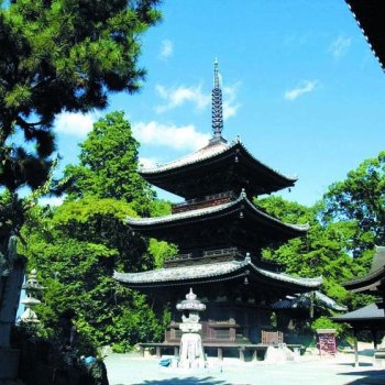 石手寺3