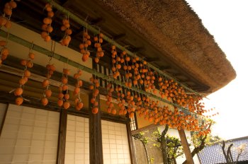 旧庄屋毛利家住宅