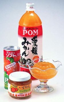 みかん加工品