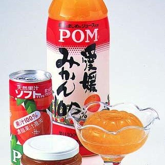 みかん加工品