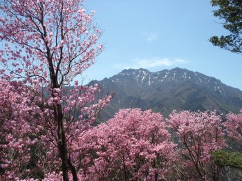 石鎚神社10