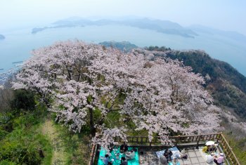 積善山2