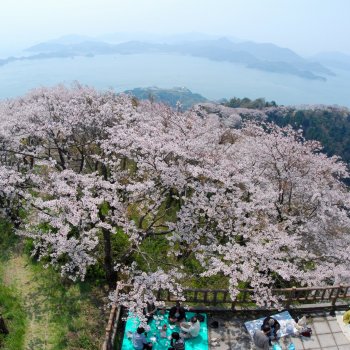 積善山2