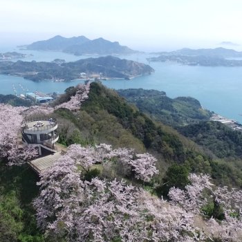 積善山3