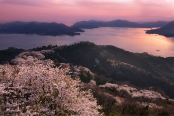 積善山6