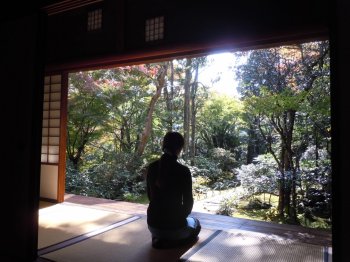 臥龍山荘9