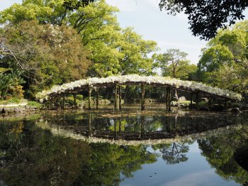 天赦園2