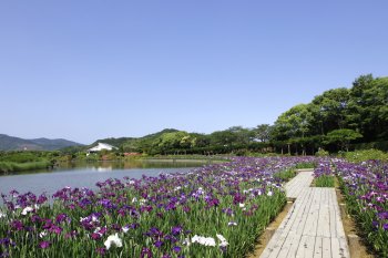南楽園6