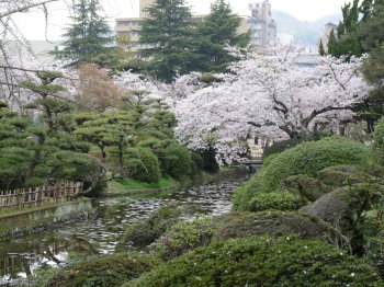 道後公園1