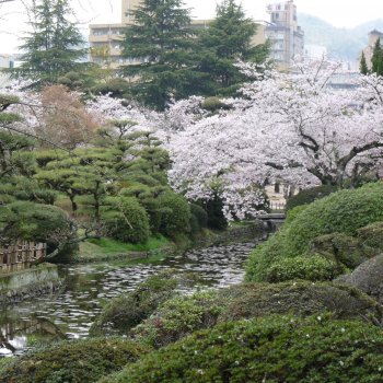 道後公園1