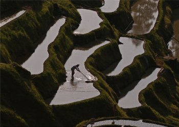 泉谷棚田3