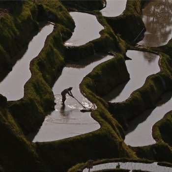 泉谷棚田3