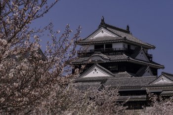 松山城（桜）K3