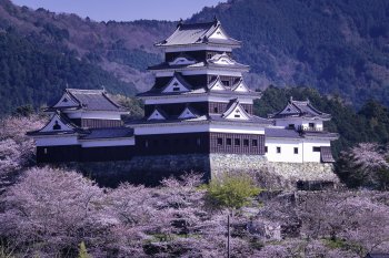 大洲城（桜）　K1