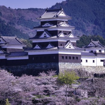 大洲城（桜）　K1