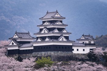 大洲城（桜）　K2