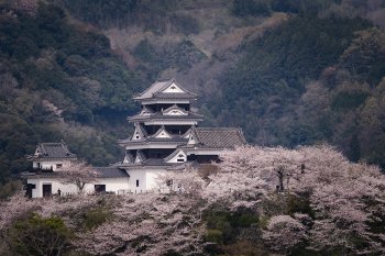 大洲城（桜）　K3