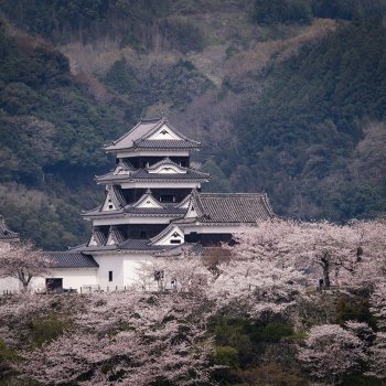 大洲城（桜）　K3