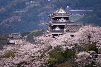 大洲城（桜）　K4
