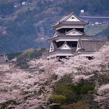 大洲城（桜）　K4