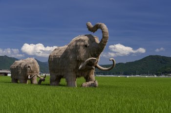 わらマンモス　K