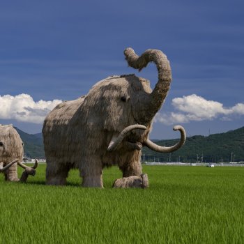 わらマンモス　K