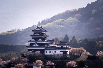大洲城（桜）K6