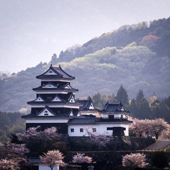大洲城（桜）K6