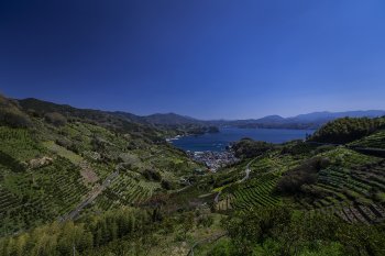 狩浜段畑K