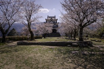 宇和島城（桜）K1
